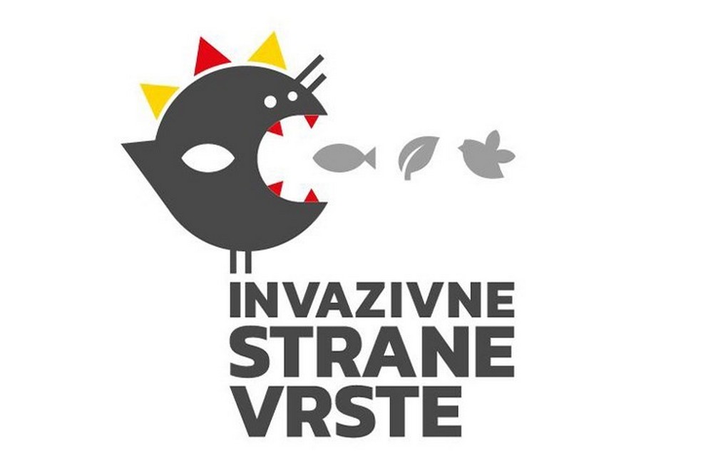 Kontrola i monitoring crvenouhe kornjače i plutajuće vodene mekčine na području Požeško-slavonske županije